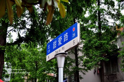 甜蜜上海 洒满罗曼蒂克的小马路