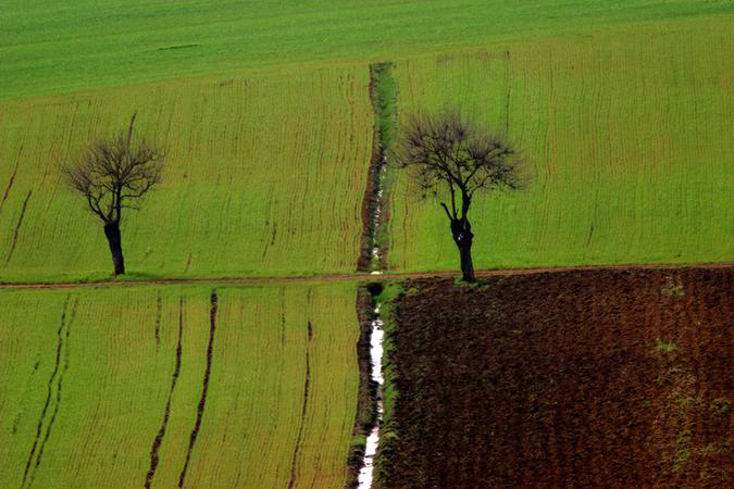 精品消费网 精品消费网