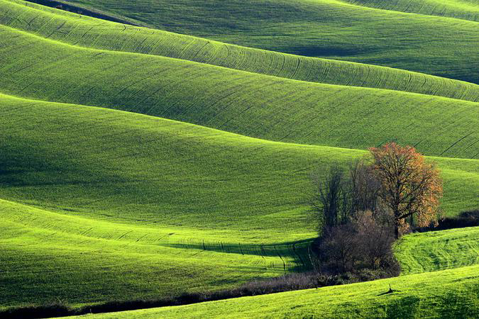 精品消费网 精品消费网