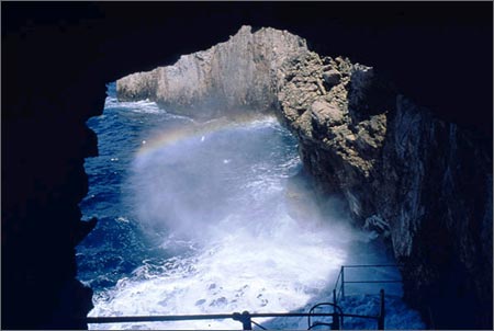 ��Ʒ������