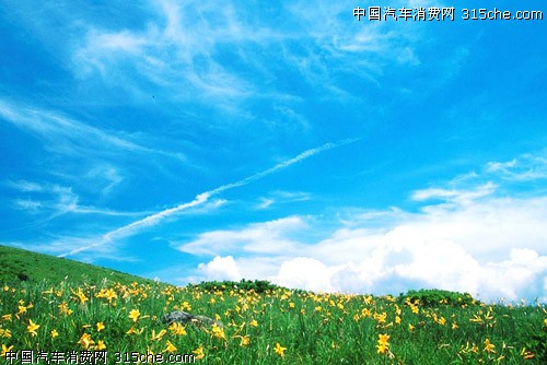 内蒙古 大草原