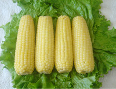 七大保健食物