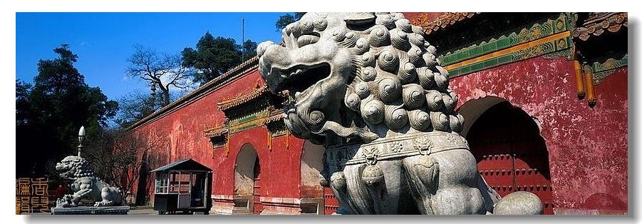 精品消费网 精品消费网
