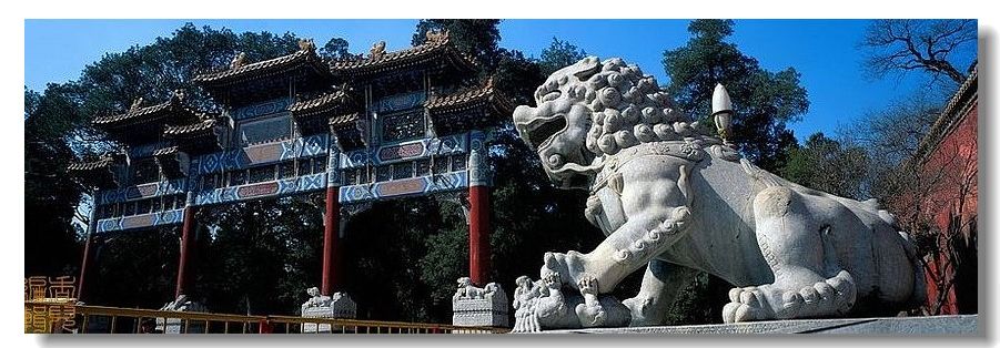 精品消费网 精品消费网