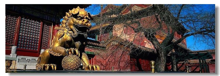 精品消费网 精品消费网