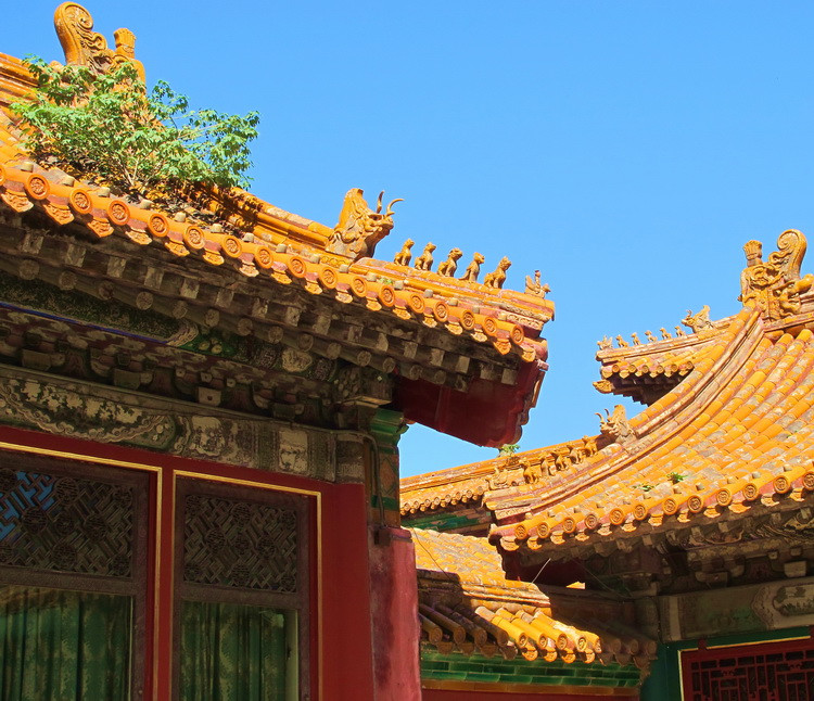 北京故宫的风采