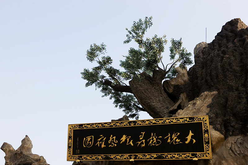 ��Ʒ������