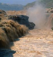 ��Ʒ������