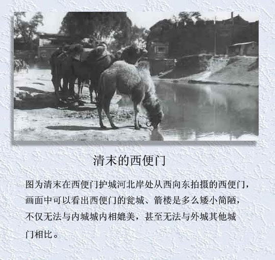  精品消费网