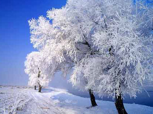 国内五大童话般的赏雪胜地