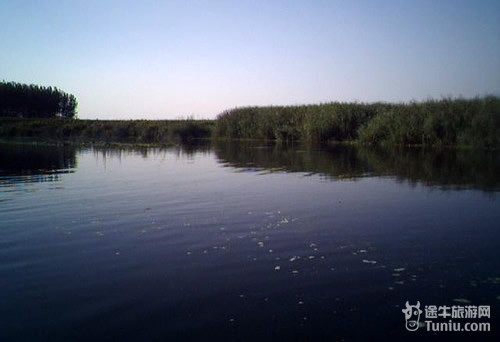 ��Ʒ������