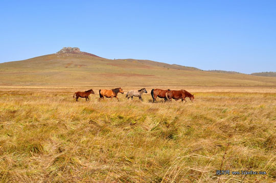 ľ��Χ������ ͼ���ƶ�