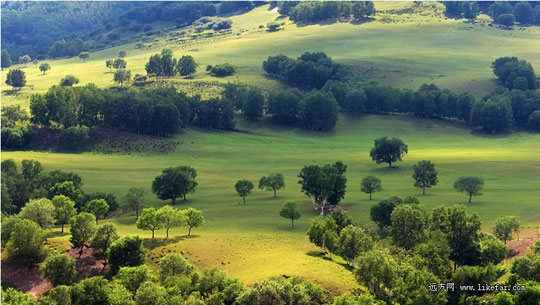 ��õ�ɫ�� ͼ������ѭ��