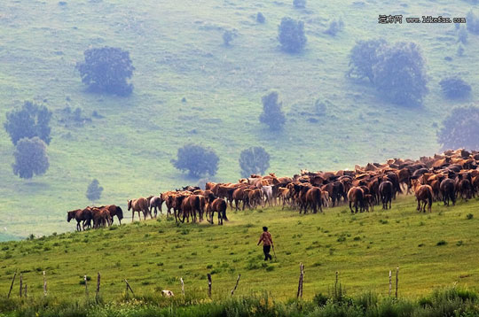 ��ԭ���� ͼ������ѭ��