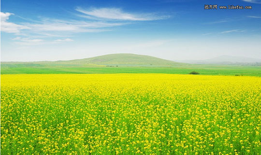 �Ͳ˻��� ͼ������