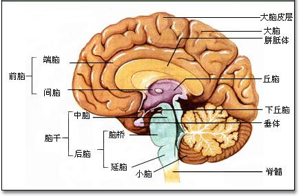 让你拥有超常记忆力的小习惯