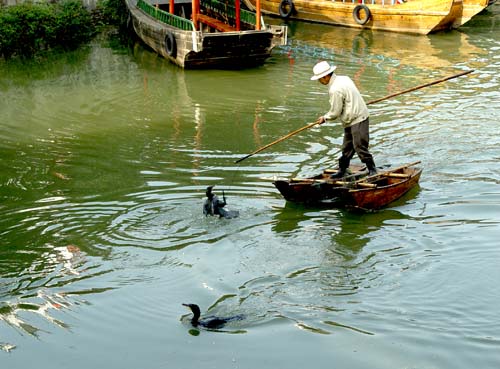 ��Ʒ������