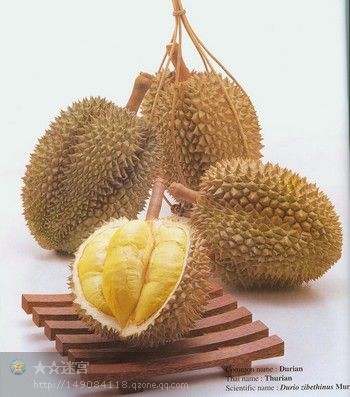 精品消费网
