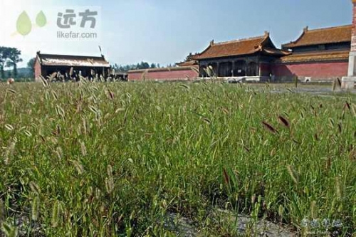 ��Ʒ������