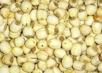 ��Ʒ������