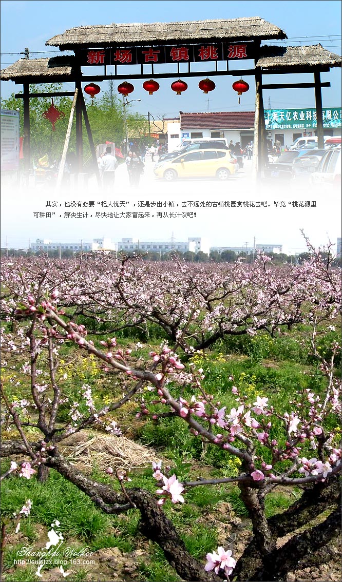 精品消费网