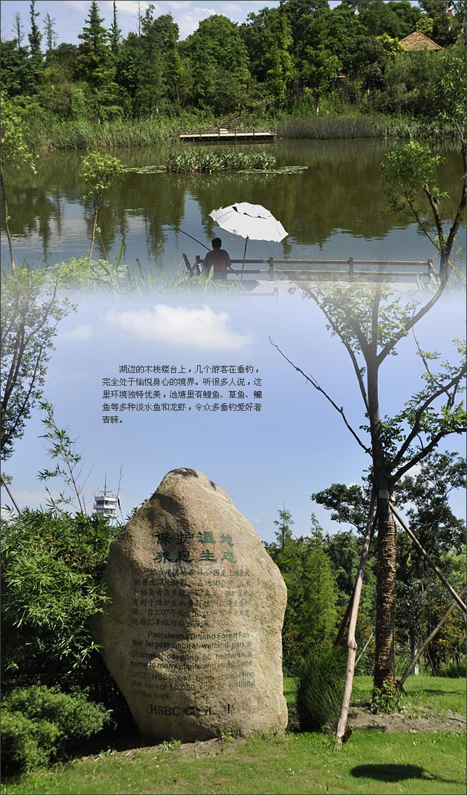 精品消费网;