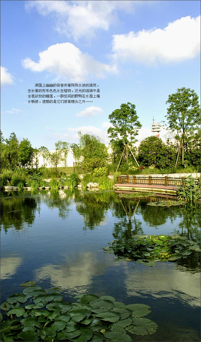 精品消费网;