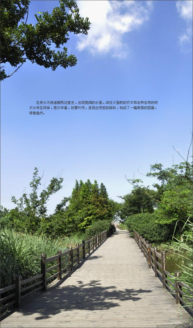 精品消费网;