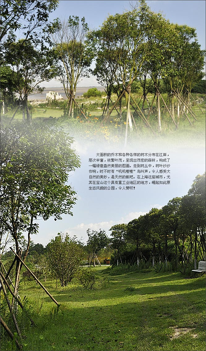 精品消费网;