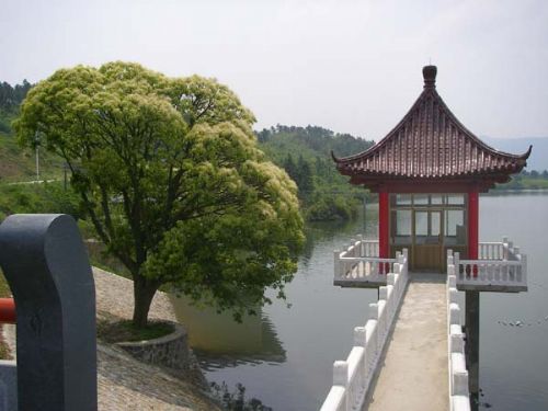 ��Ʒ������