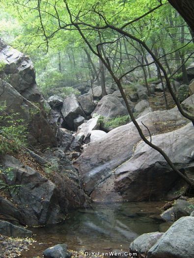 ��Ʒ������