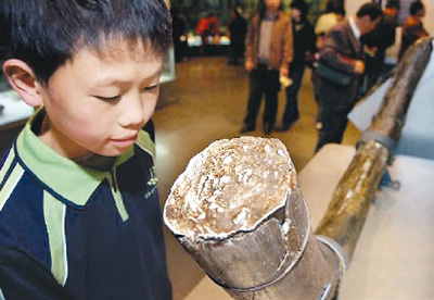 北京“文脉一条街”--阜成门内大街
