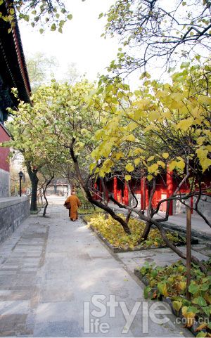 北京秘境的那些隐秘事