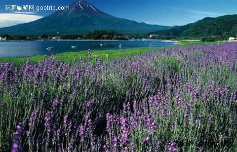 ��Ʒ������