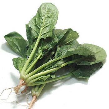 超级营养蔬菜最新排名