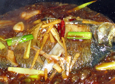 2525道菜谱(过程超详细、易学) - 胡淼 - 野蜂飞舞