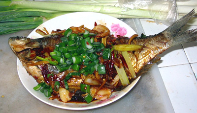 2525道菜谱(过程超详细、易学) - 胡淼 - 野蜂飞舞