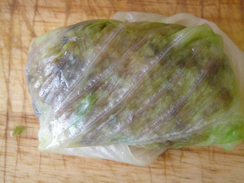 2525道菜谱(过程超详细、易学) - 胡淼 - 野蜂飞舞