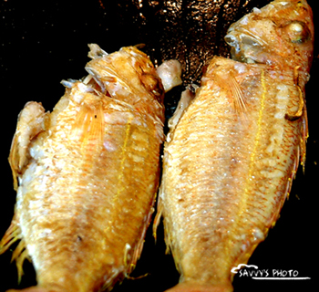 2525道菜谱(过程超详细、易学) - 胡淼 - 野蜂飞舞
