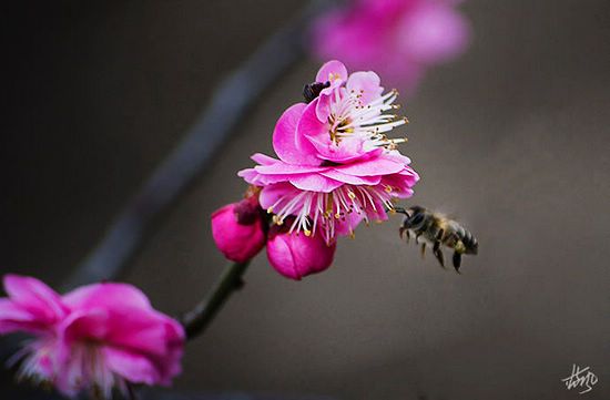 精品消费网