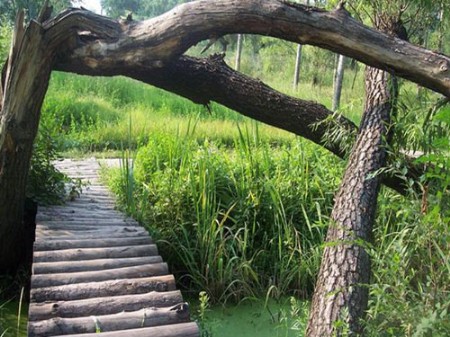 北京4个特色湿地公园