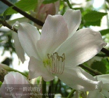 精品消费网