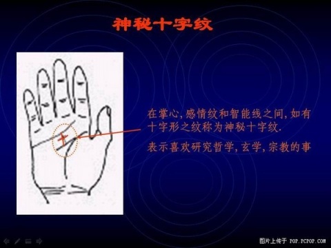 精品消费网