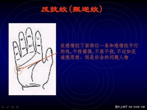 精品消费网