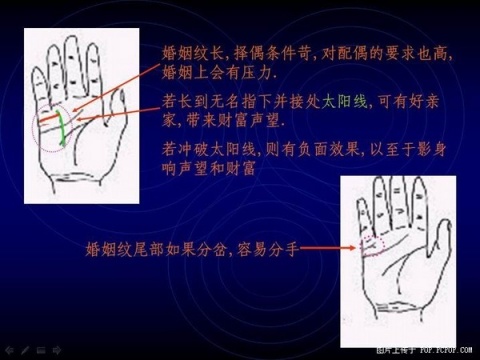精品消费网