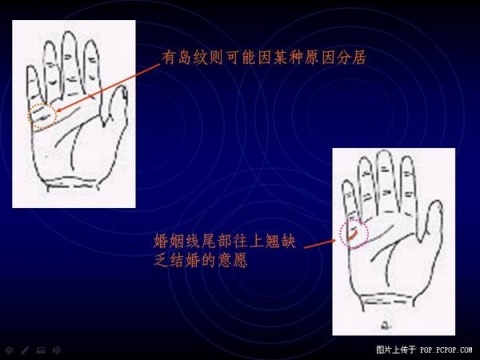 精品消费网