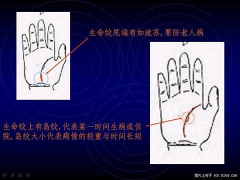 精品消费网