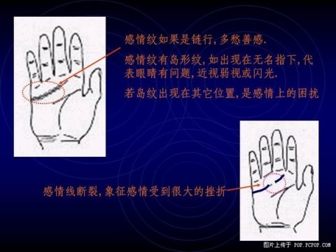 精品消费网