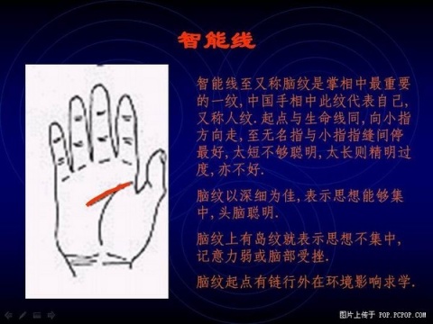 精品消费网