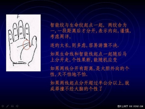 精品消费网